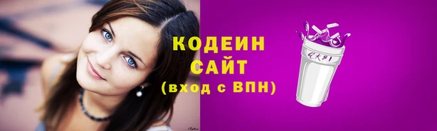 хмурый Аркадак