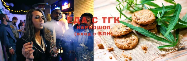 хмурый Аркадак